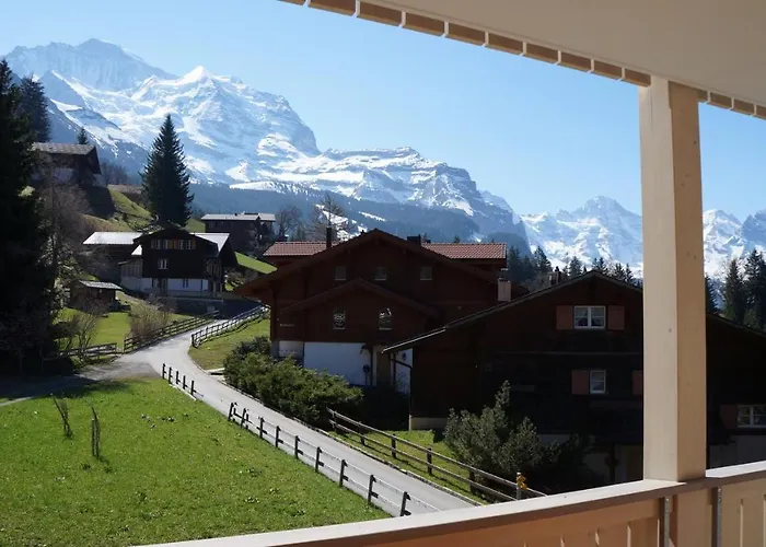 Brunner 4 * Wengen